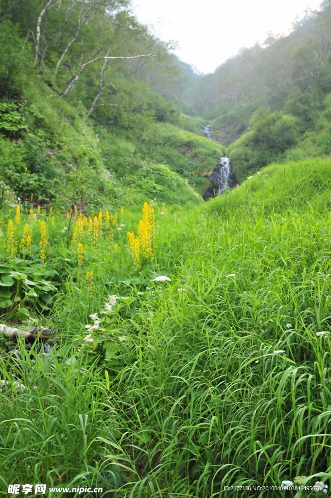 山間流水