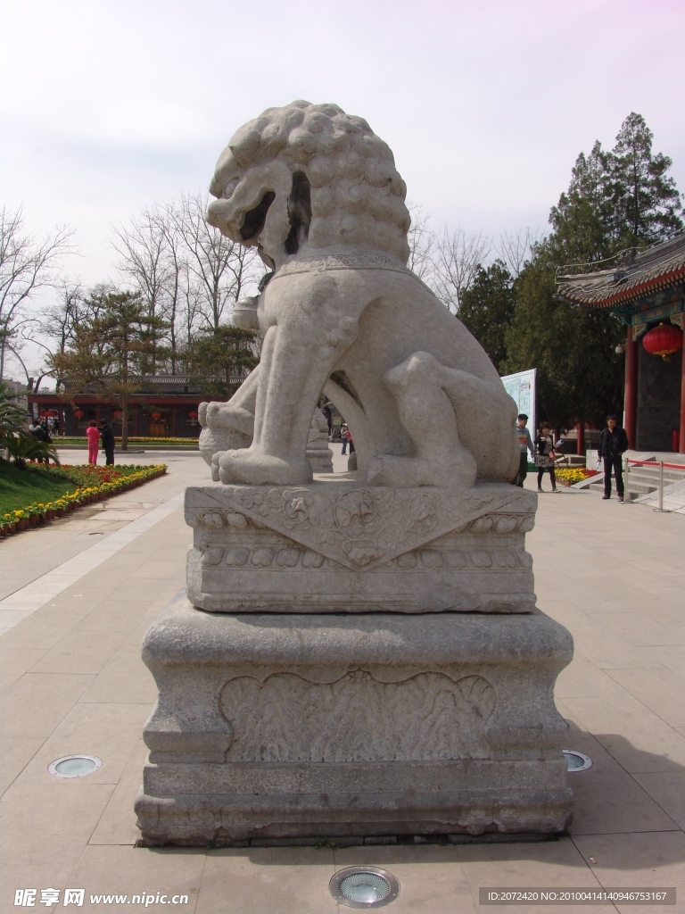 石獅 左側面