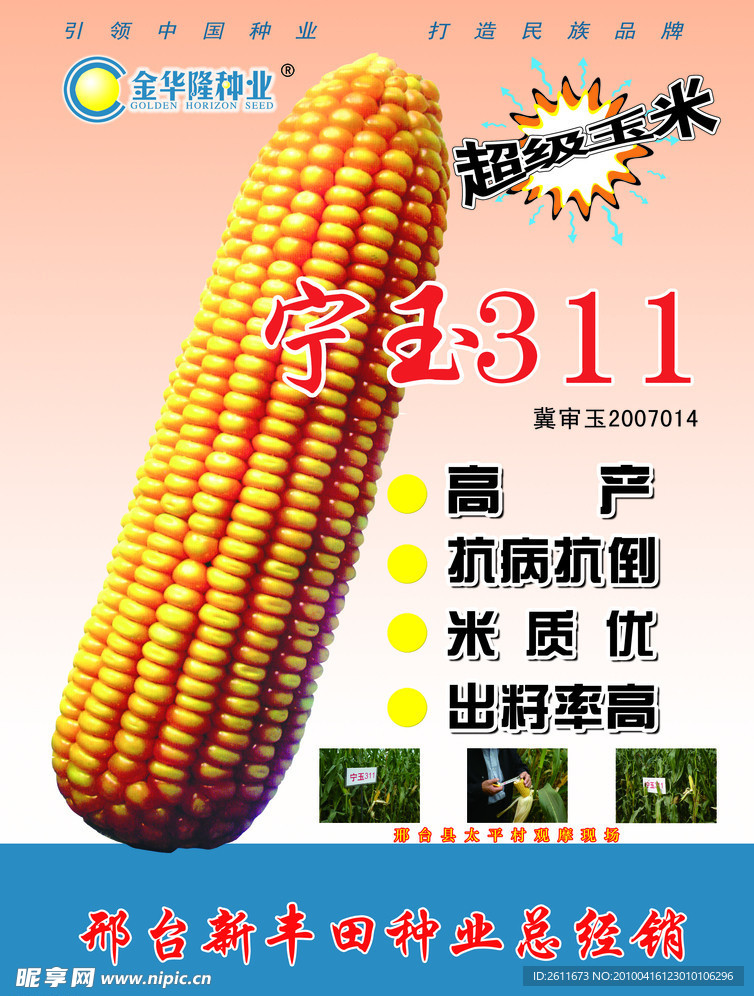 新丰田玉米种子