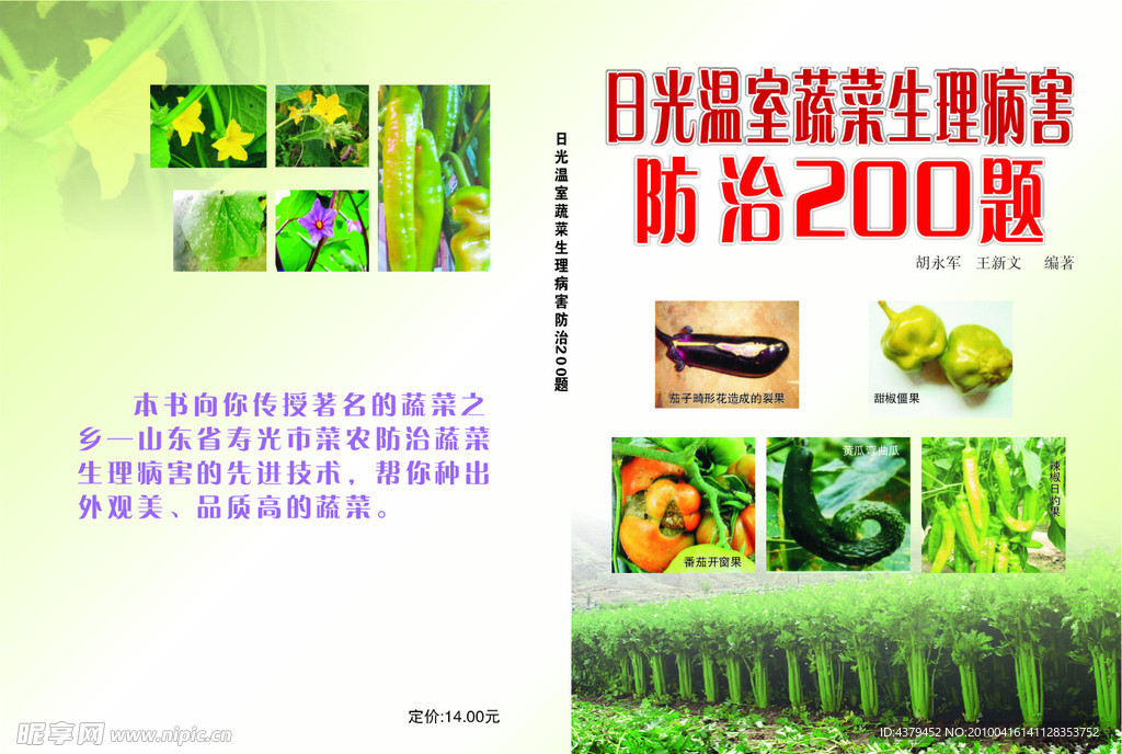 蔬菜封面設(shè)計(jì)