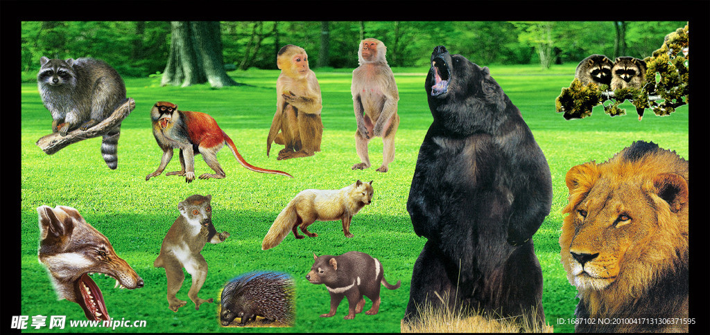 各种动物 猩猩 狮子 猴 野猪 袋鼠