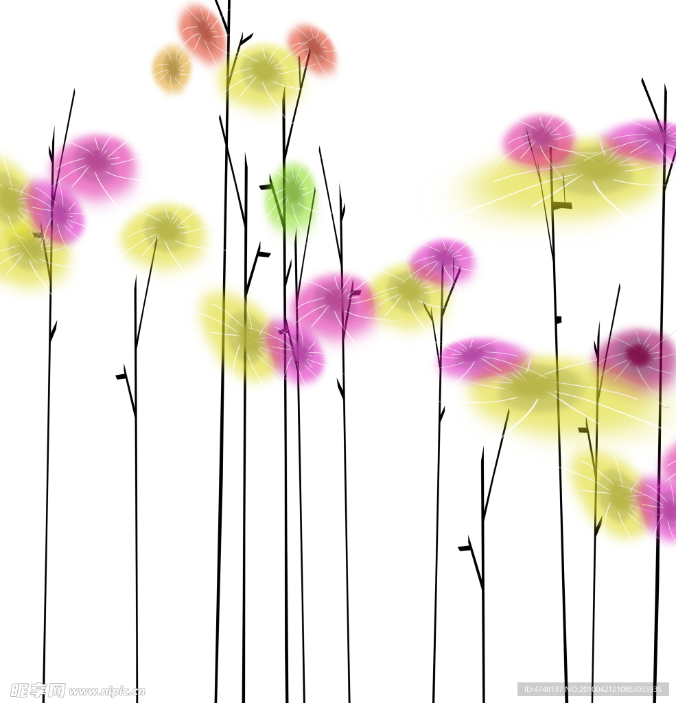 花卉