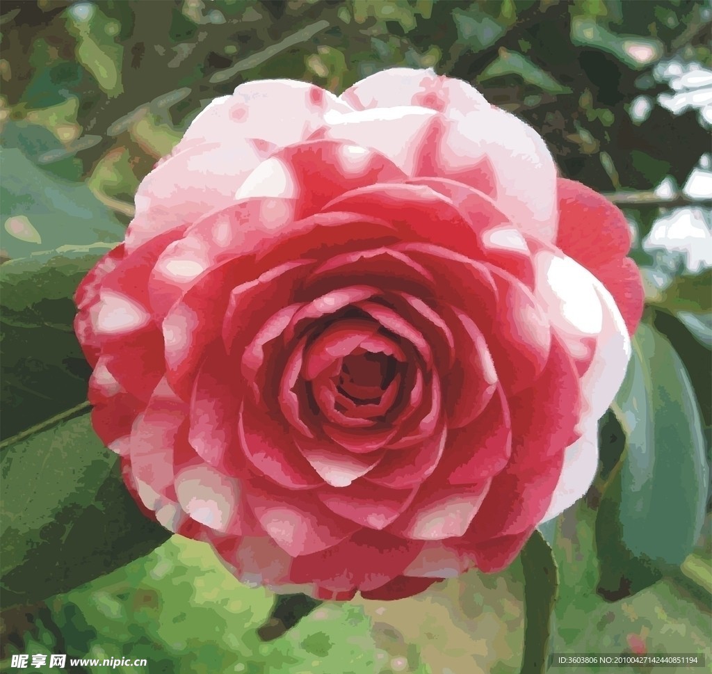 矢量鮮花