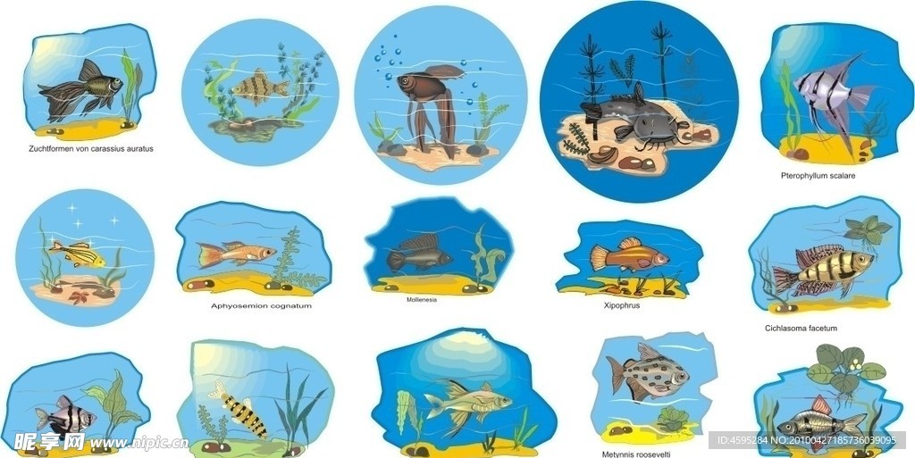 水族館卡通