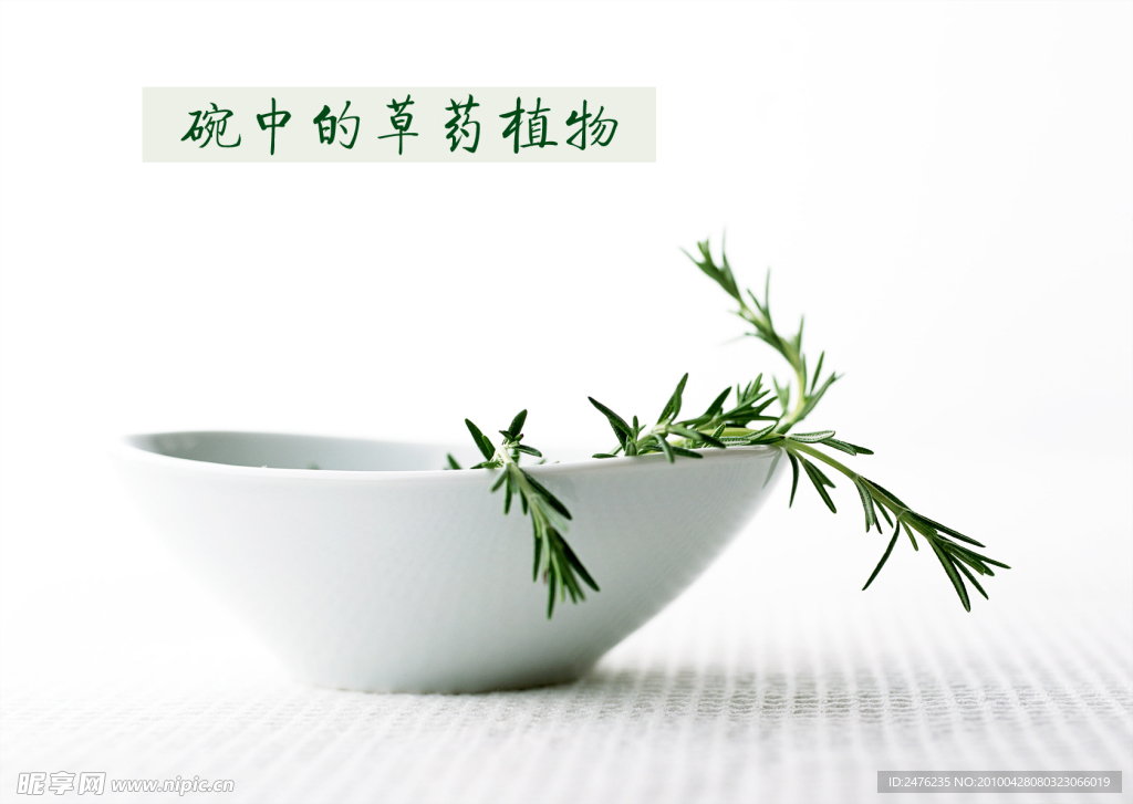 碗中的草藥植物