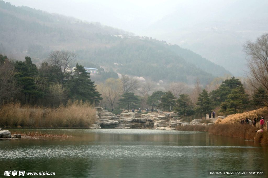 湖水 植物 波紋 山水 水木