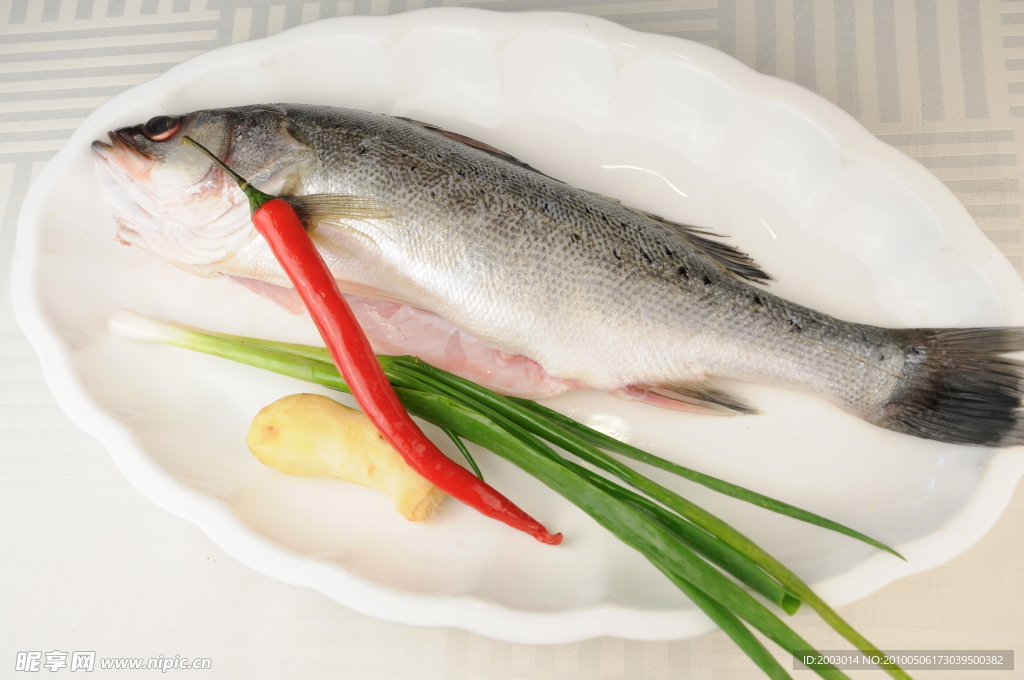 鱸魚