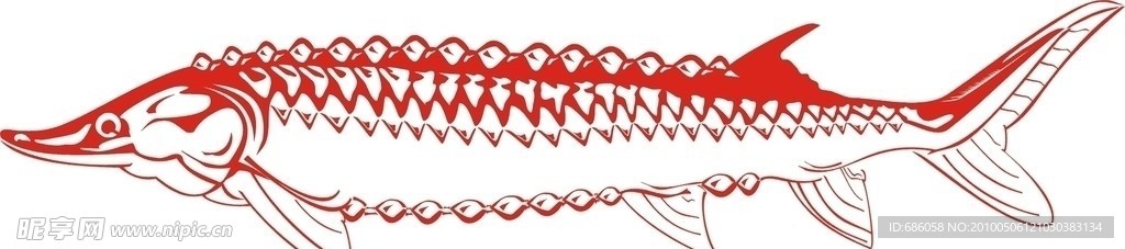 魚類