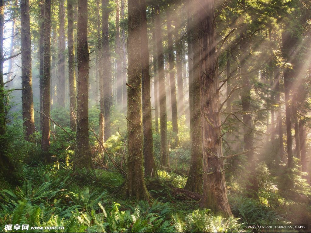 歐洲風景