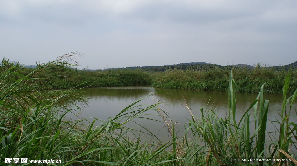 西麗水庫(kù)