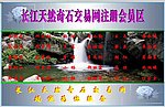 長江奇石注冊會員區(qū)