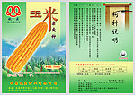 玉米杂交种子