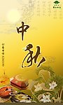 中秋節(jié) 荷花 月餅