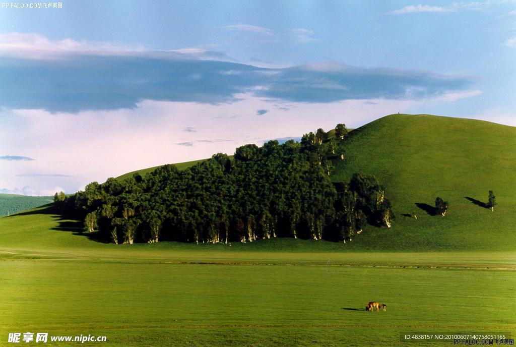 原野風景