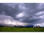 風(fēng)雨黎明
