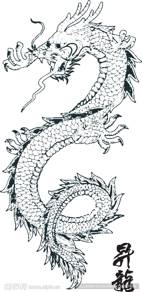 龍 圖騰