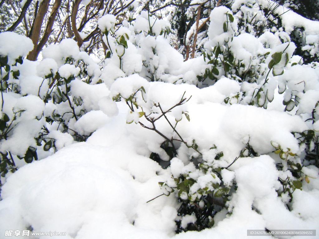 厚雪