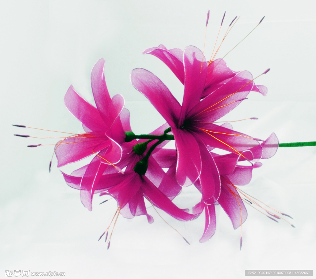 絲網花
