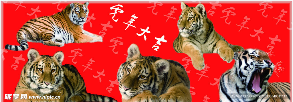 五只大老虎