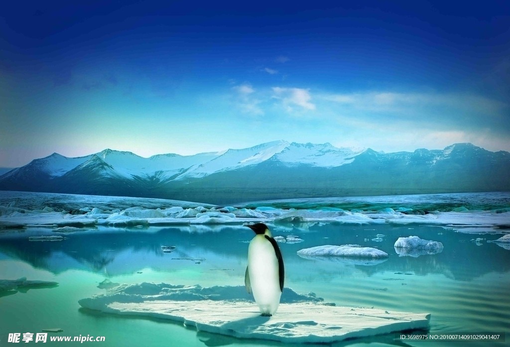 冰上的企鹅（分层不精细）