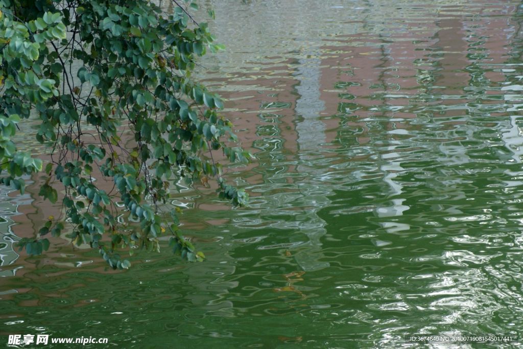 碧水悠悠