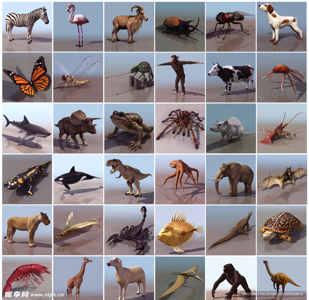 38种精美动物三维模型