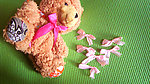 可爱小熊粉色回忆图片