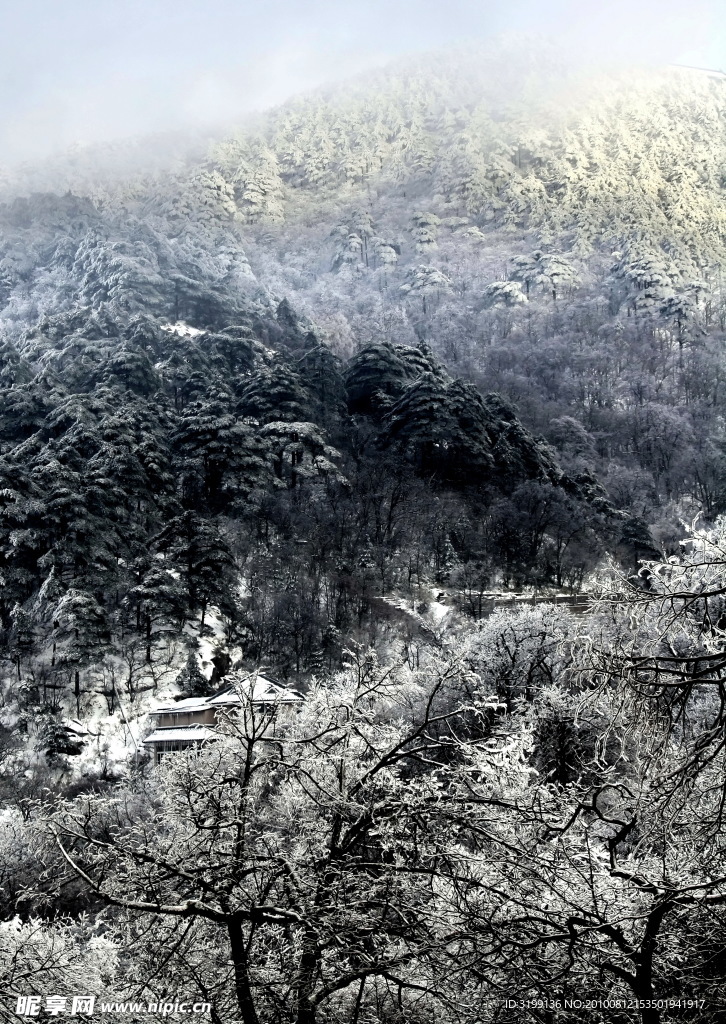黃山墨韻