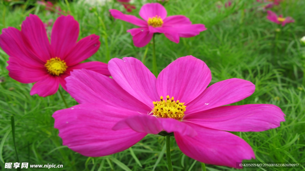 格?；? />
                            </div>
                    </div>
                </div>



                <div   id=