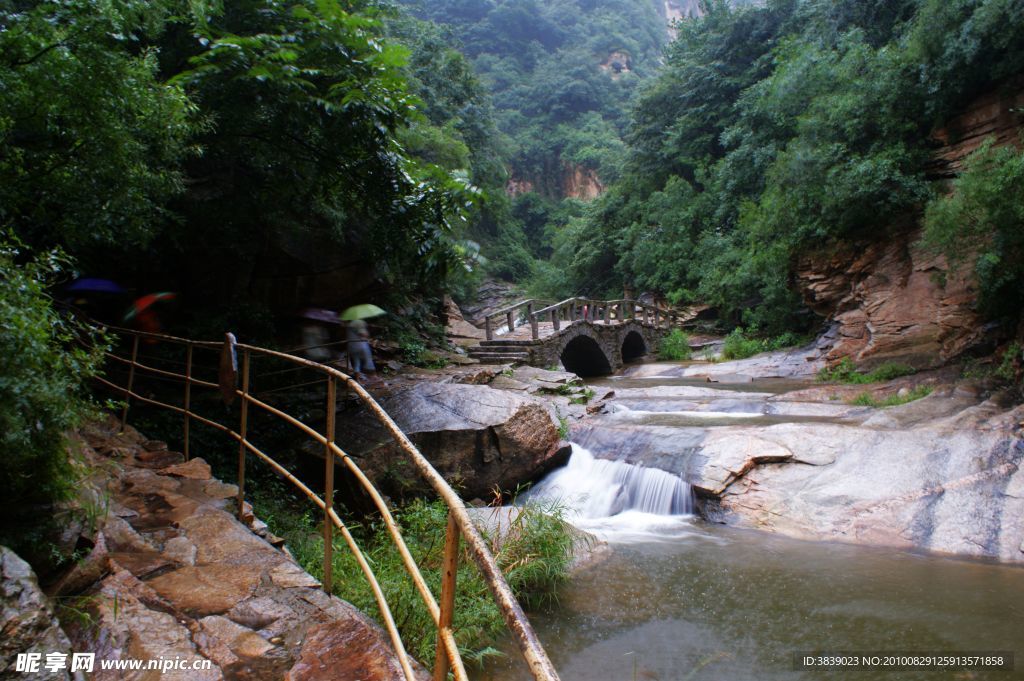 黑龍?zhí)? />
                            </div>
                    </div>
                </div>



                <div   id=
