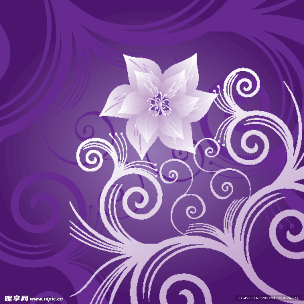 紫罗兰花 花纹