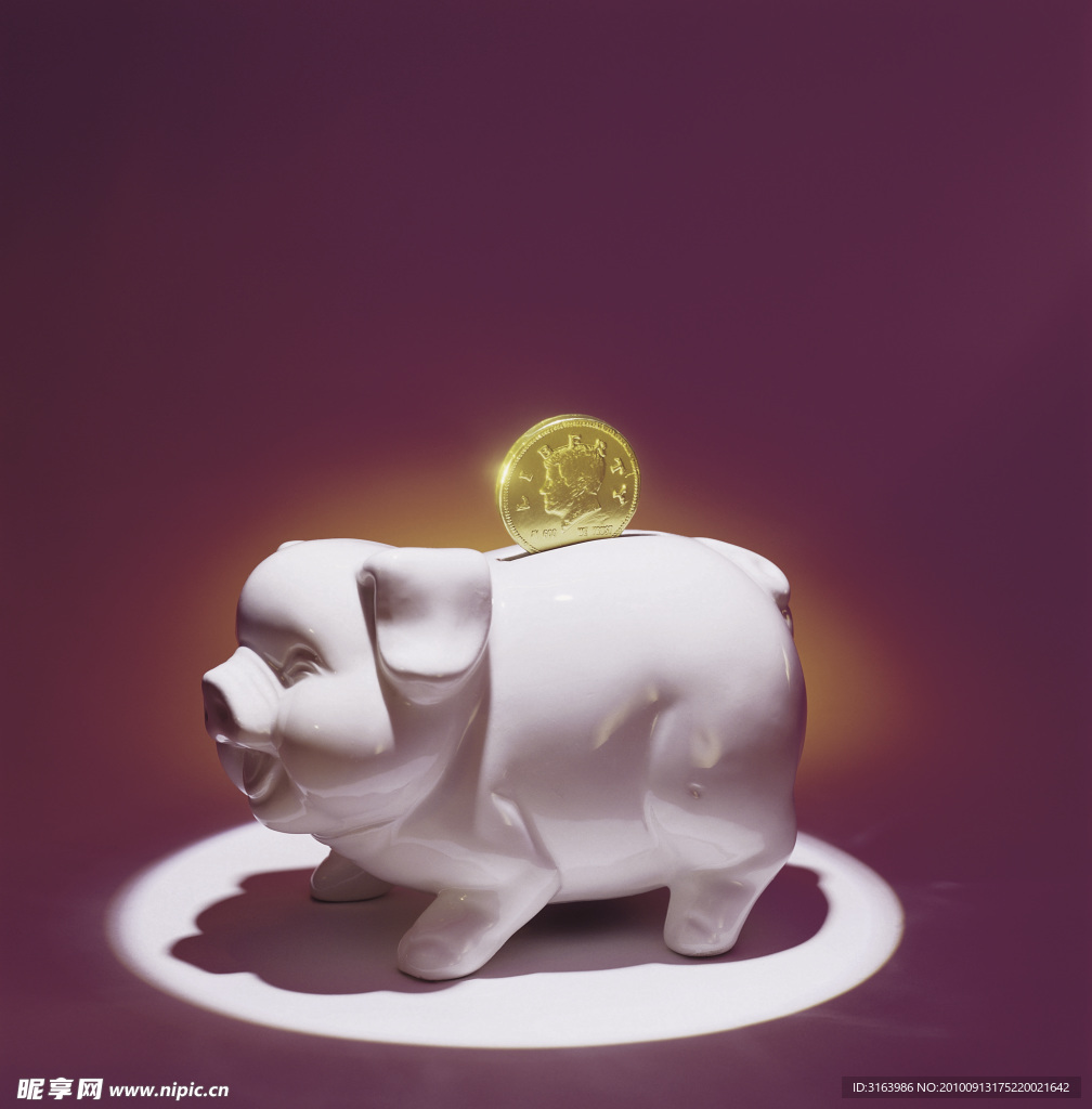 小豬