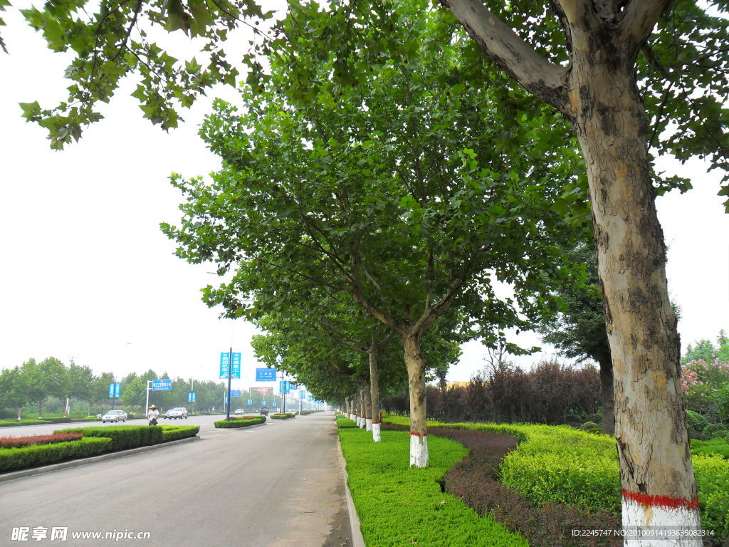 公路小景