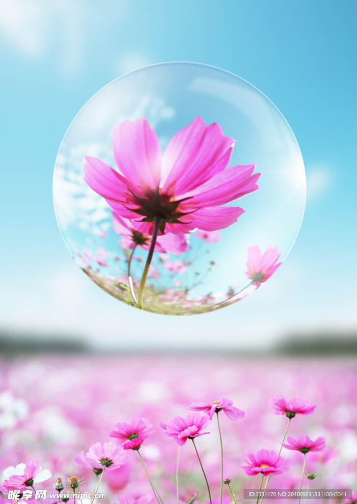 花朵氣泡