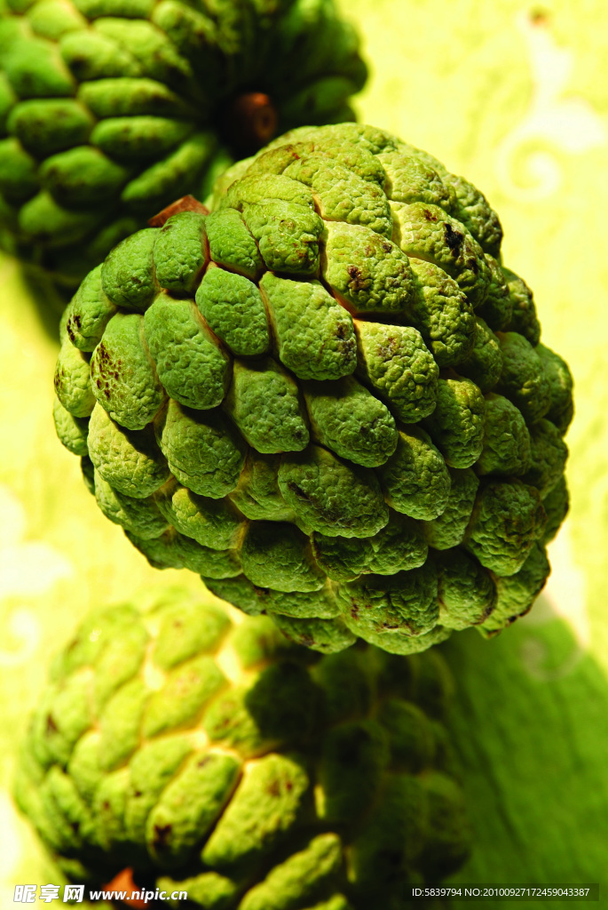 番荔枝
