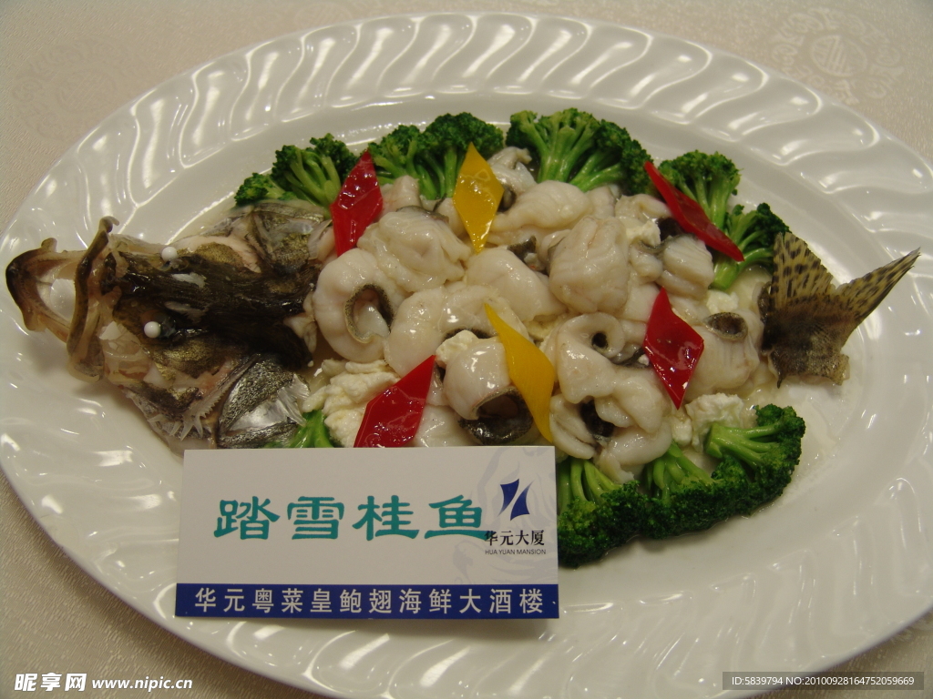 踏雪桂魚(yú)