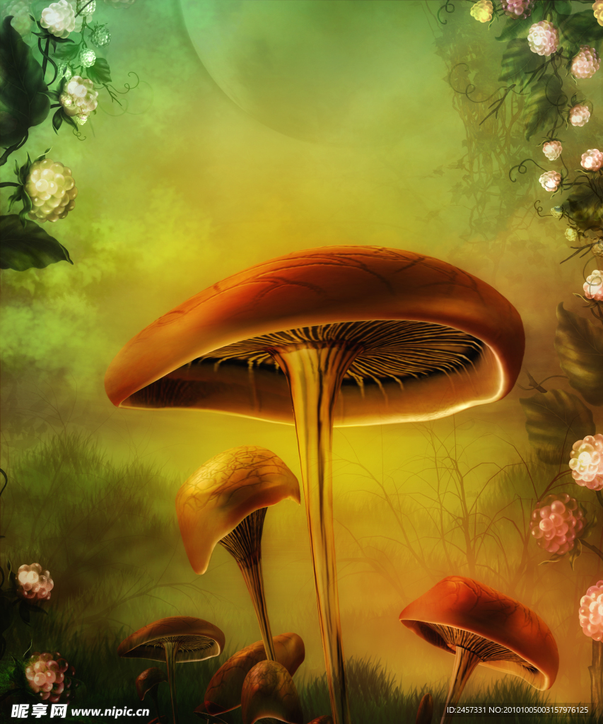 梦幻童话影楼背景 蘑菇 花朵