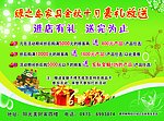 綠之島家具