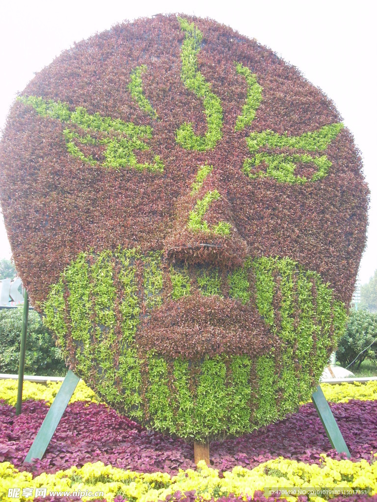 花素材