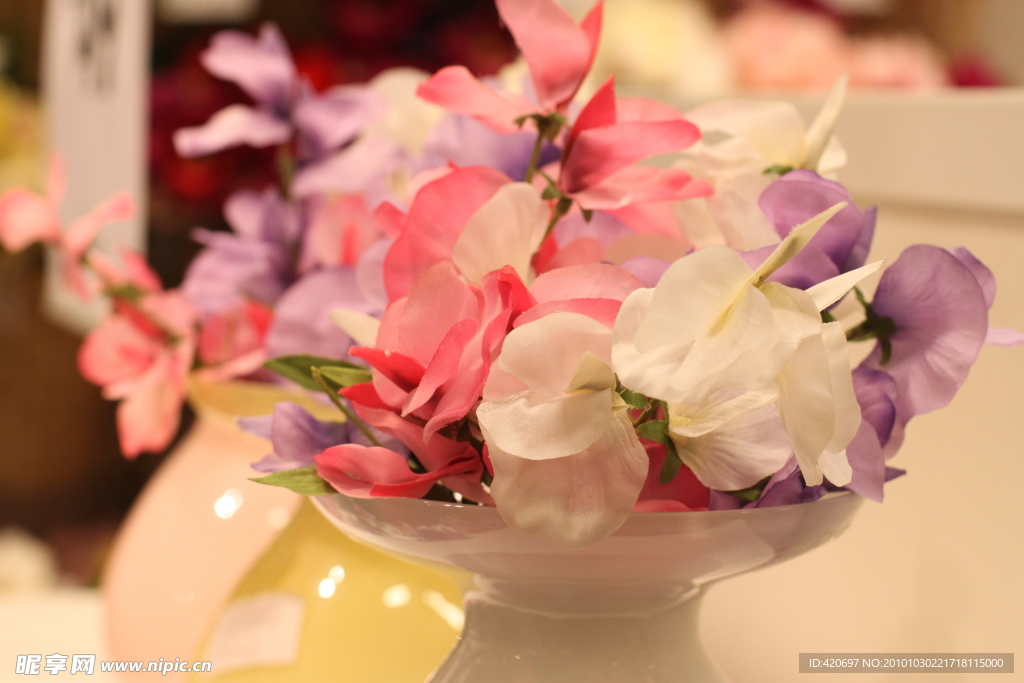 高清花朵