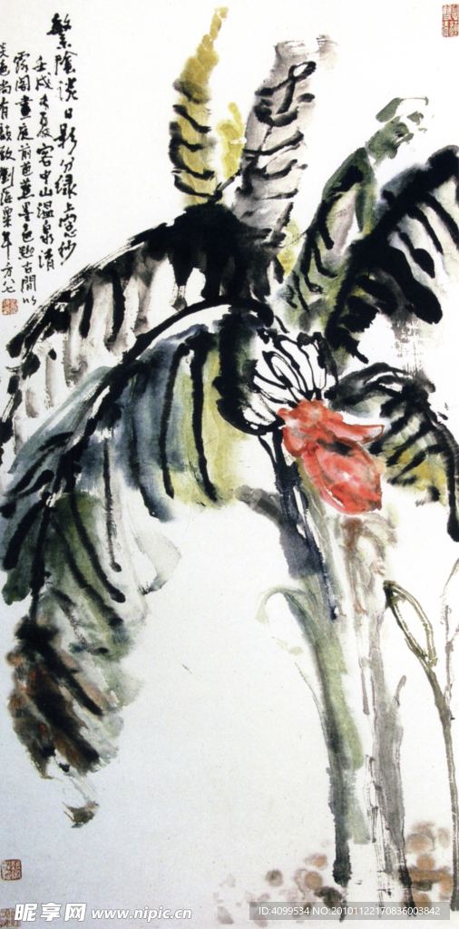 芭蕉圖