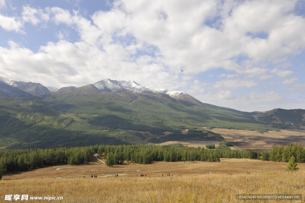 自然風(fēng)光 森林 山景