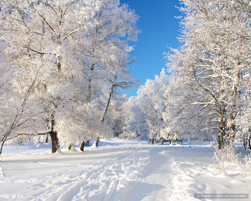 冬季雪景高清图片