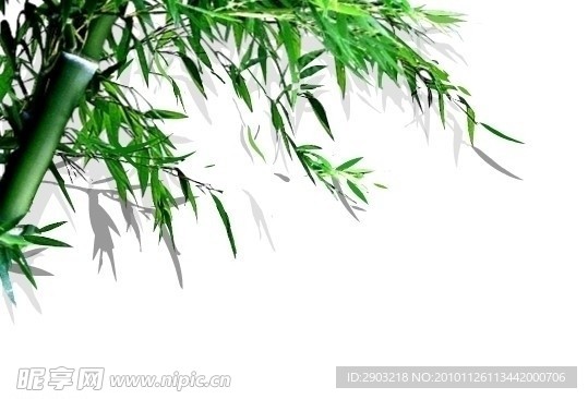 動畫 風(fēng)擺竹葉 竹子