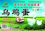 烏雞蛋包裝設(shè)計(jì)