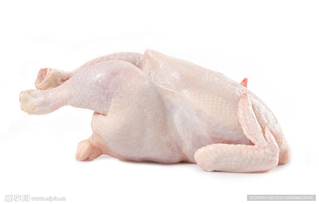 生雞肉