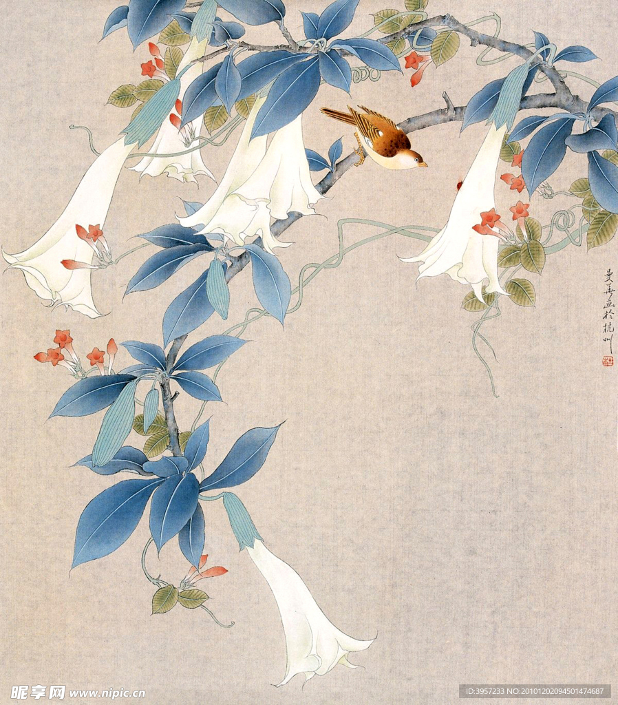 喇叭花