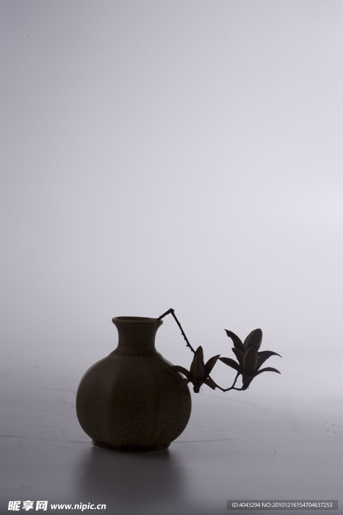 背光陶罐干花