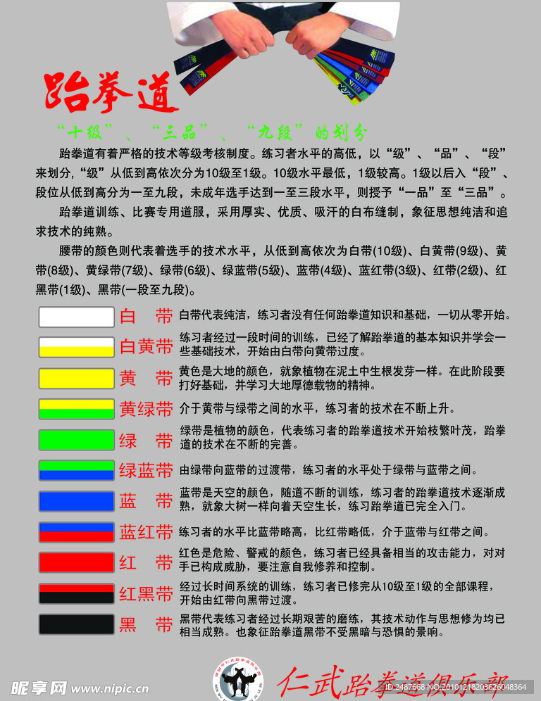 跆拳道级别