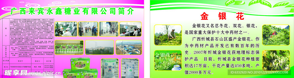 永鑫糖業 金銀花